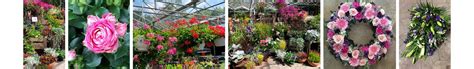 blomsterbutik middelfart|Staurbyskov Havecenter leverer blomster & gaver i Middelfart